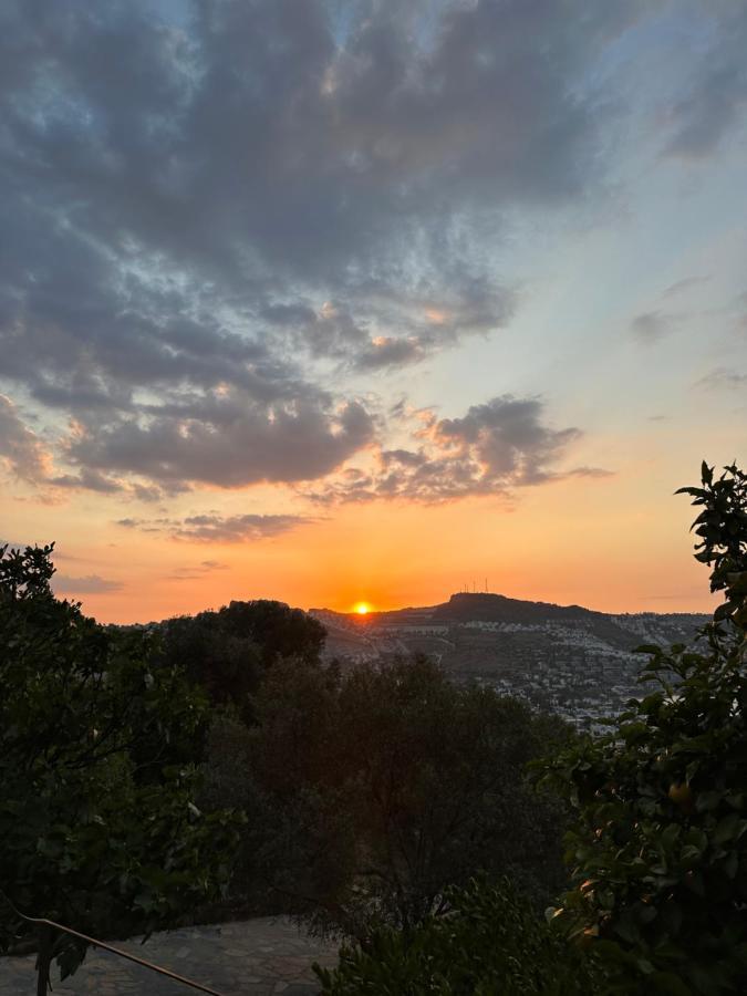 Mandra - Nature Living Bodrum Kültér fotó